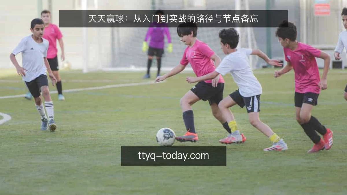 天天赢球:从入门到实战的路径与节点备忘