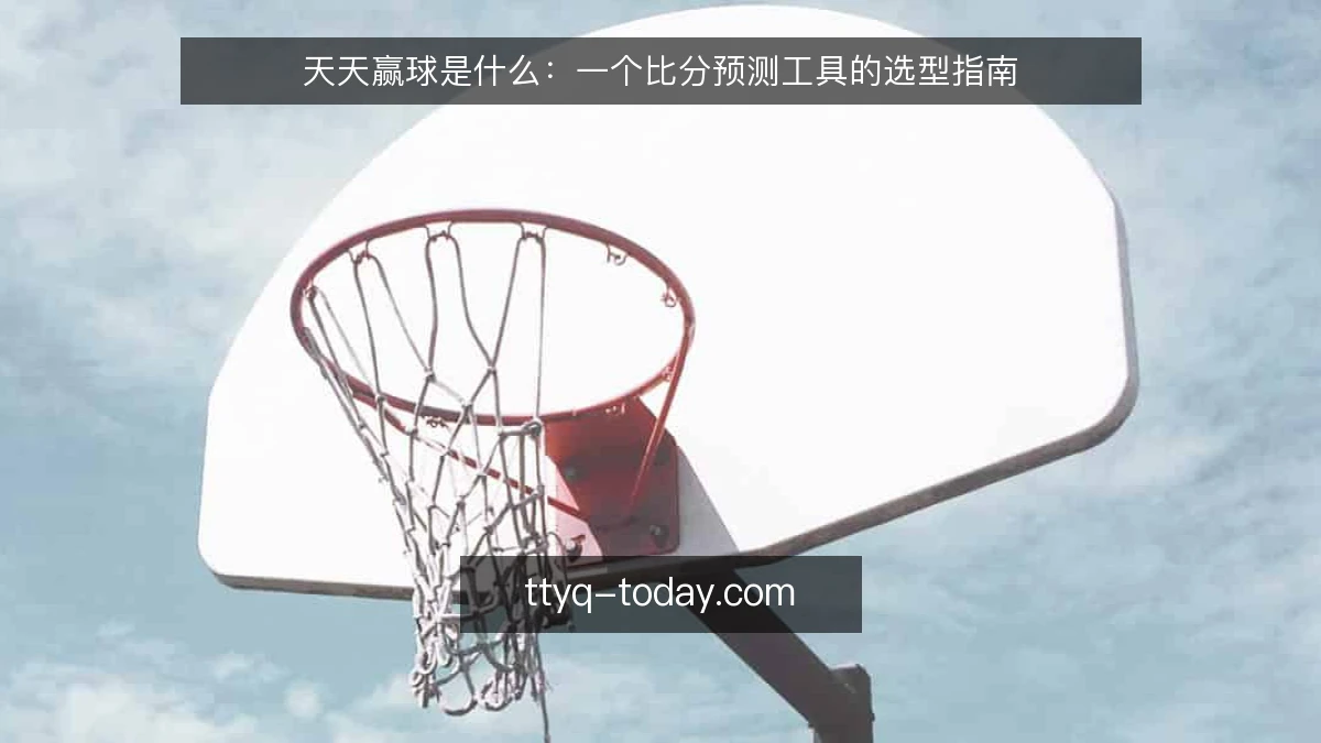 天天赢球是什么:一个比分预测工具的选型指南